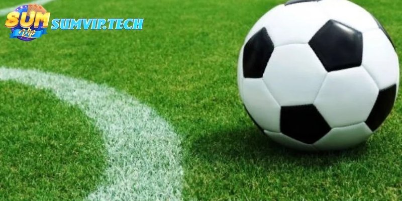 Sảnh cá cược bóng đá đẳng cấp với hàng trăm trận cầu được truyền hình mỗi ngày